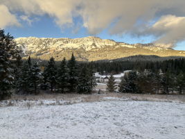 Winter Bridgers