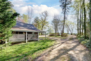  Photo 43