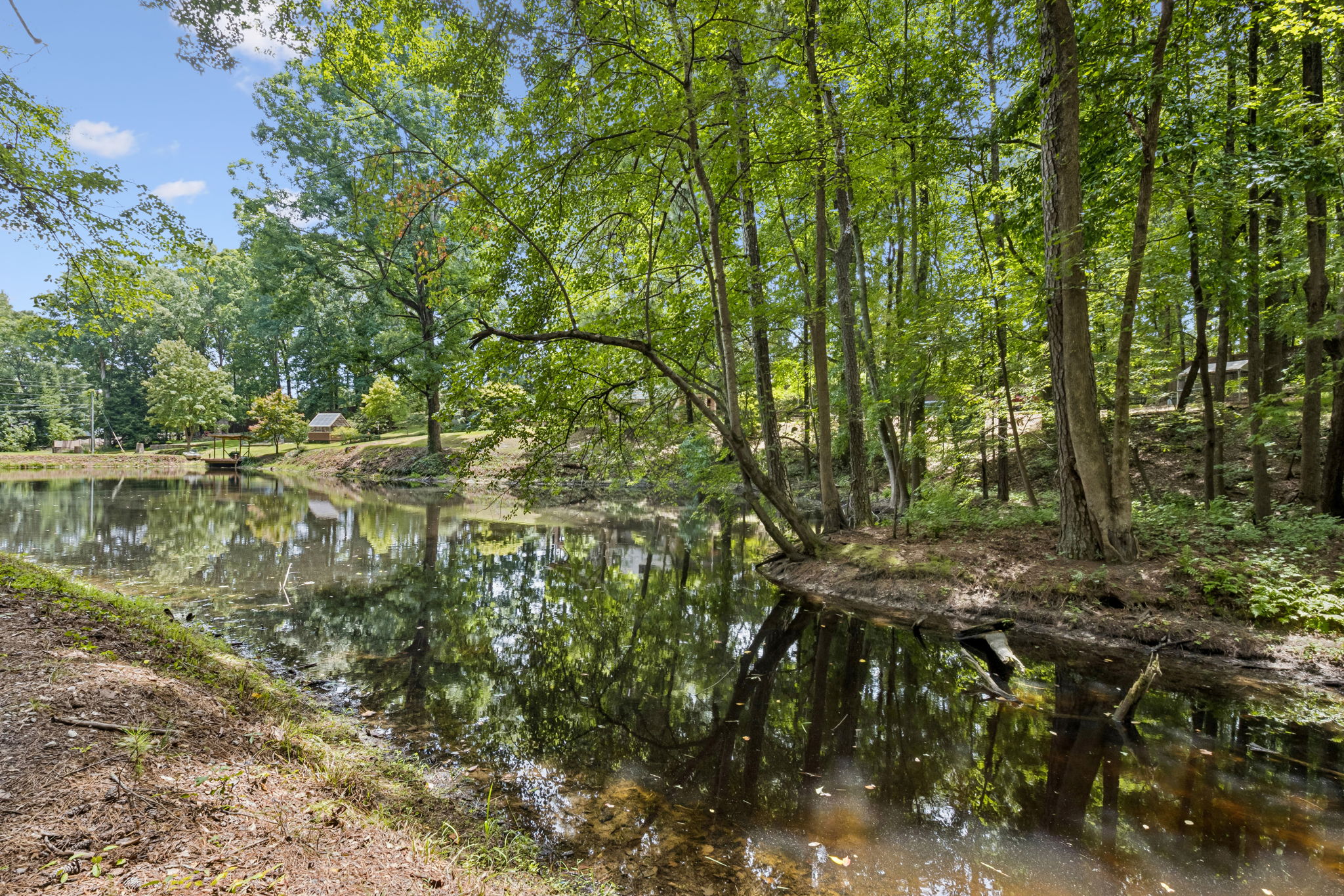 Pond View
