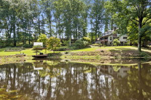 Pond View
