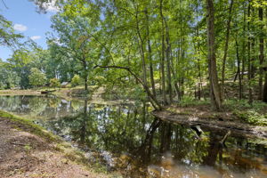 Pond View
