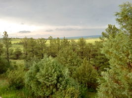  Photo 49