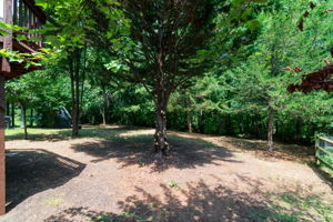 Backing to trees!