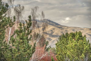  Photo 25