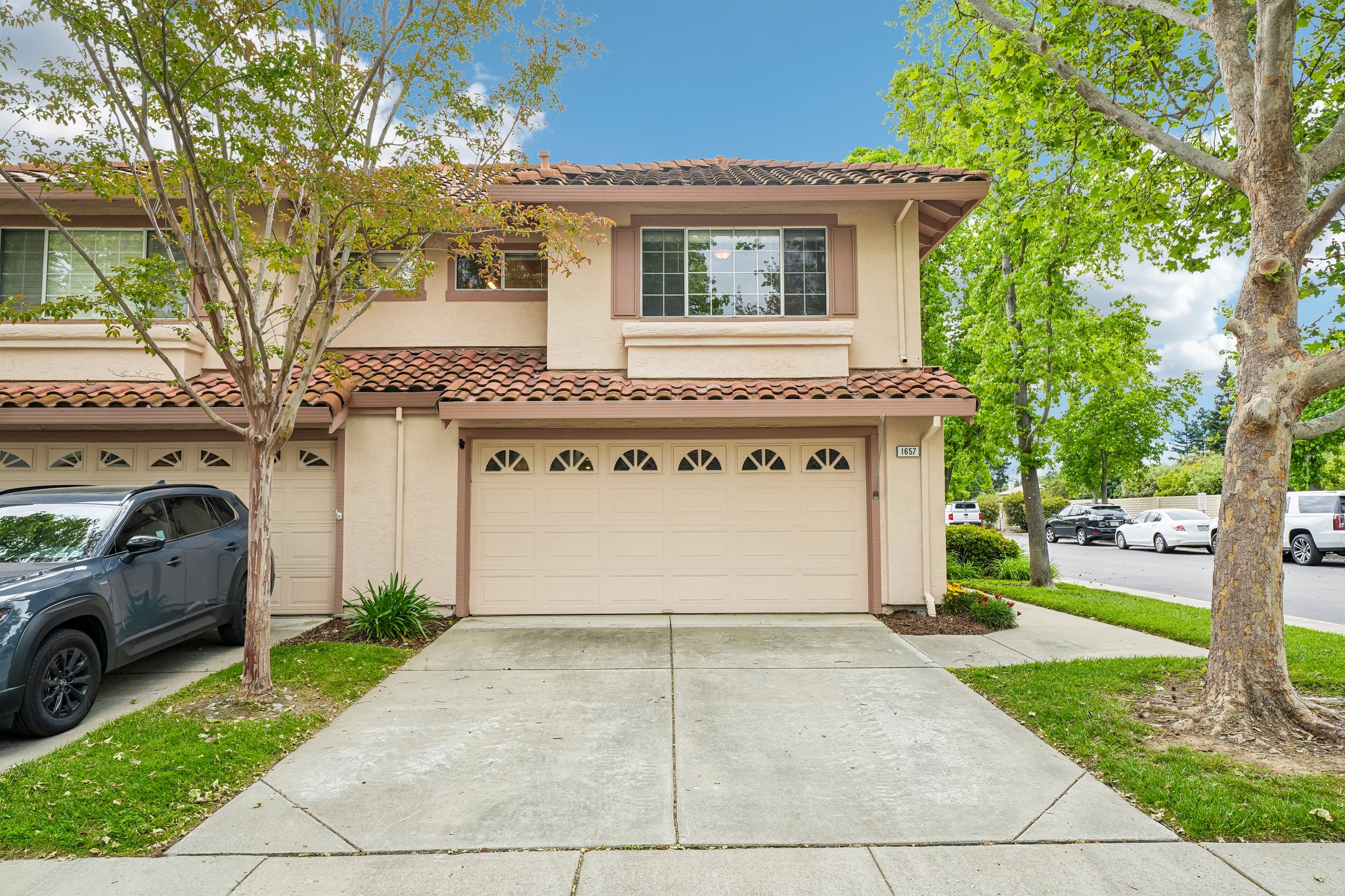 Holly Cir-S2104-002.jpg