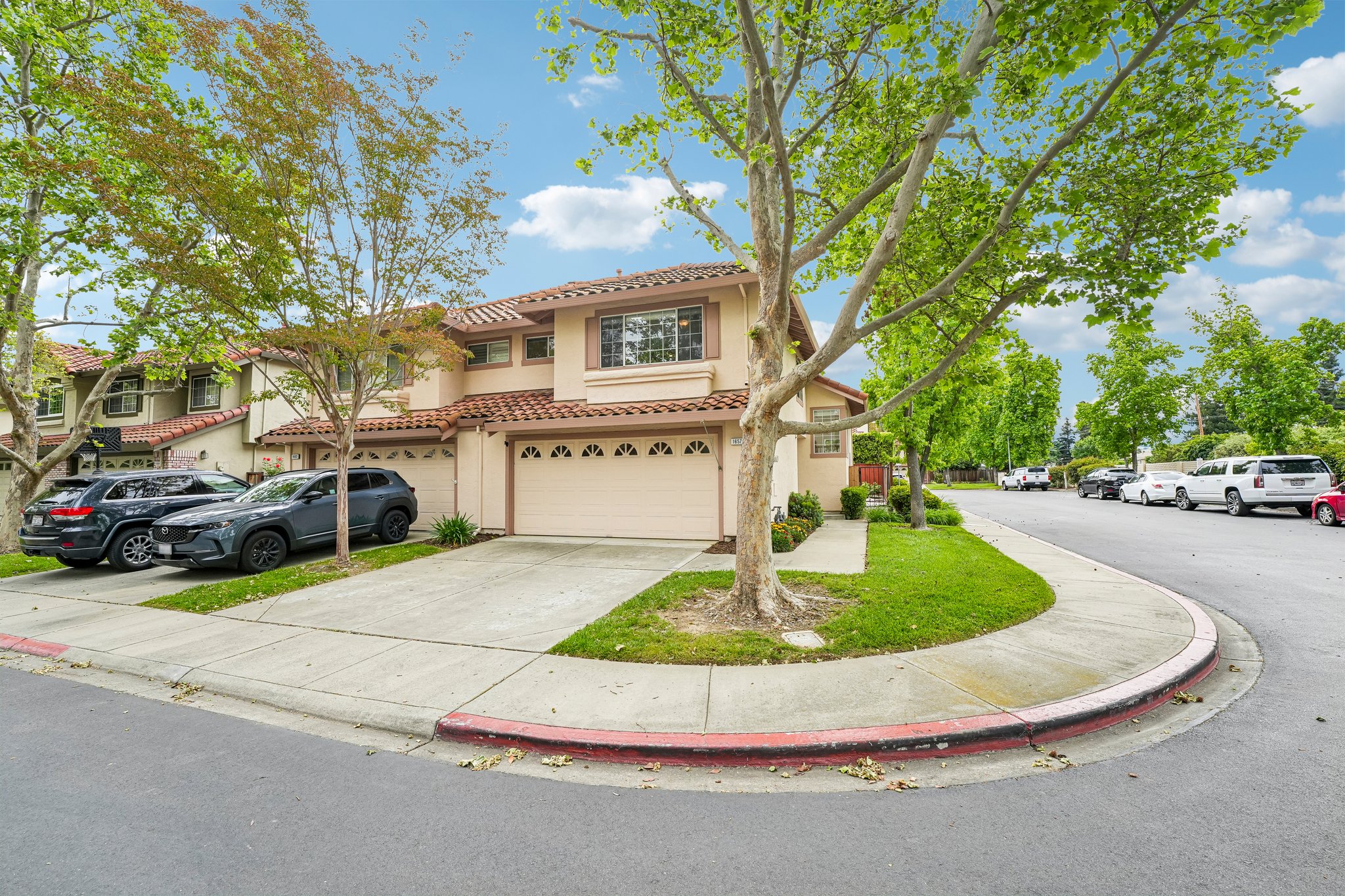 Holly Cir-S2104-005.jpg