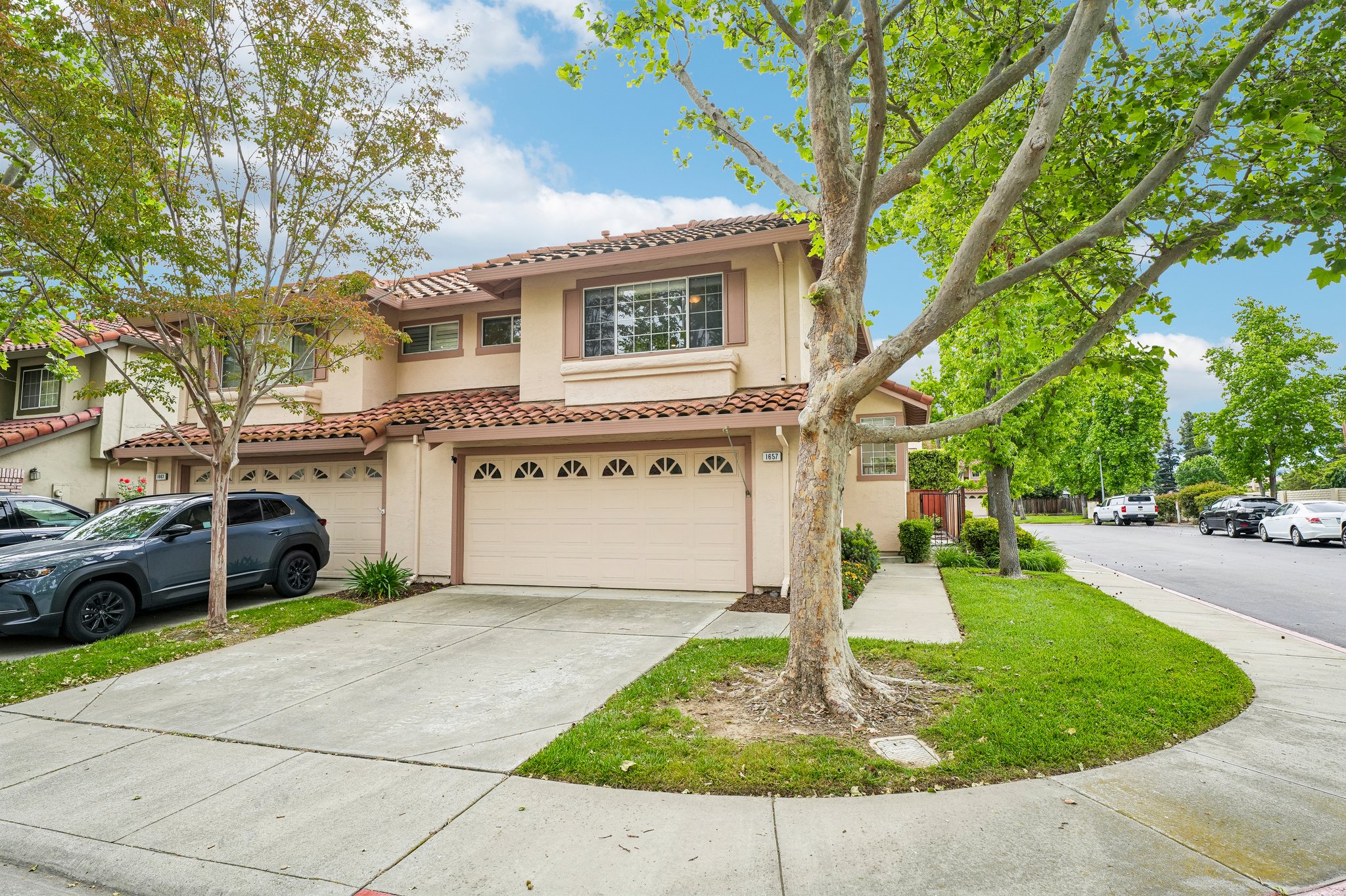 Holly Cir-S2104-006.jpg