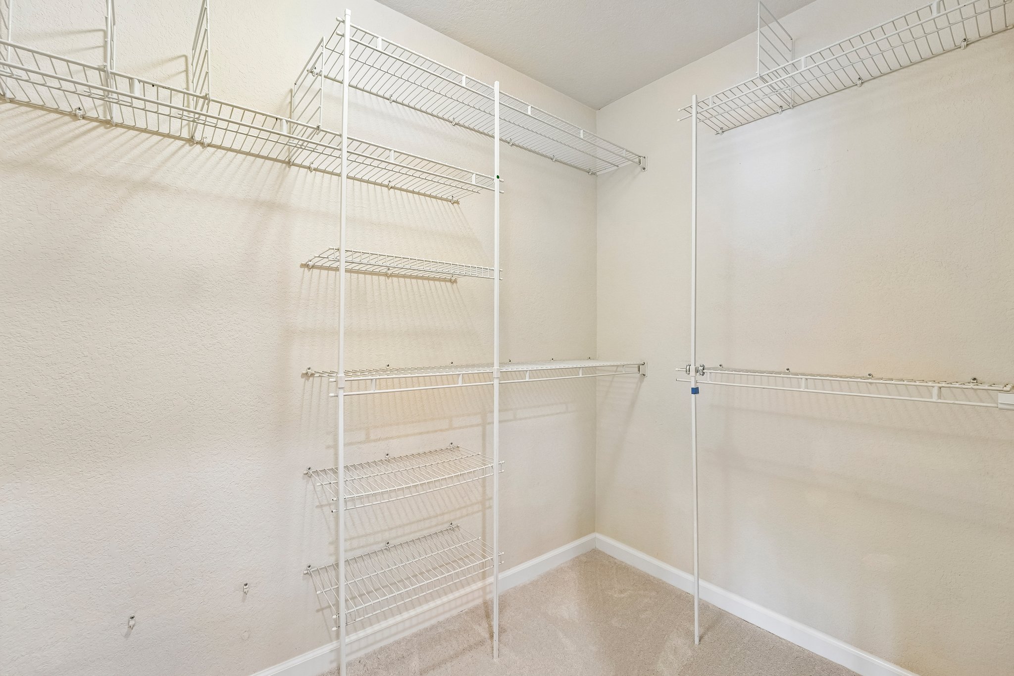 Holly Cir-S2104-033.jpg