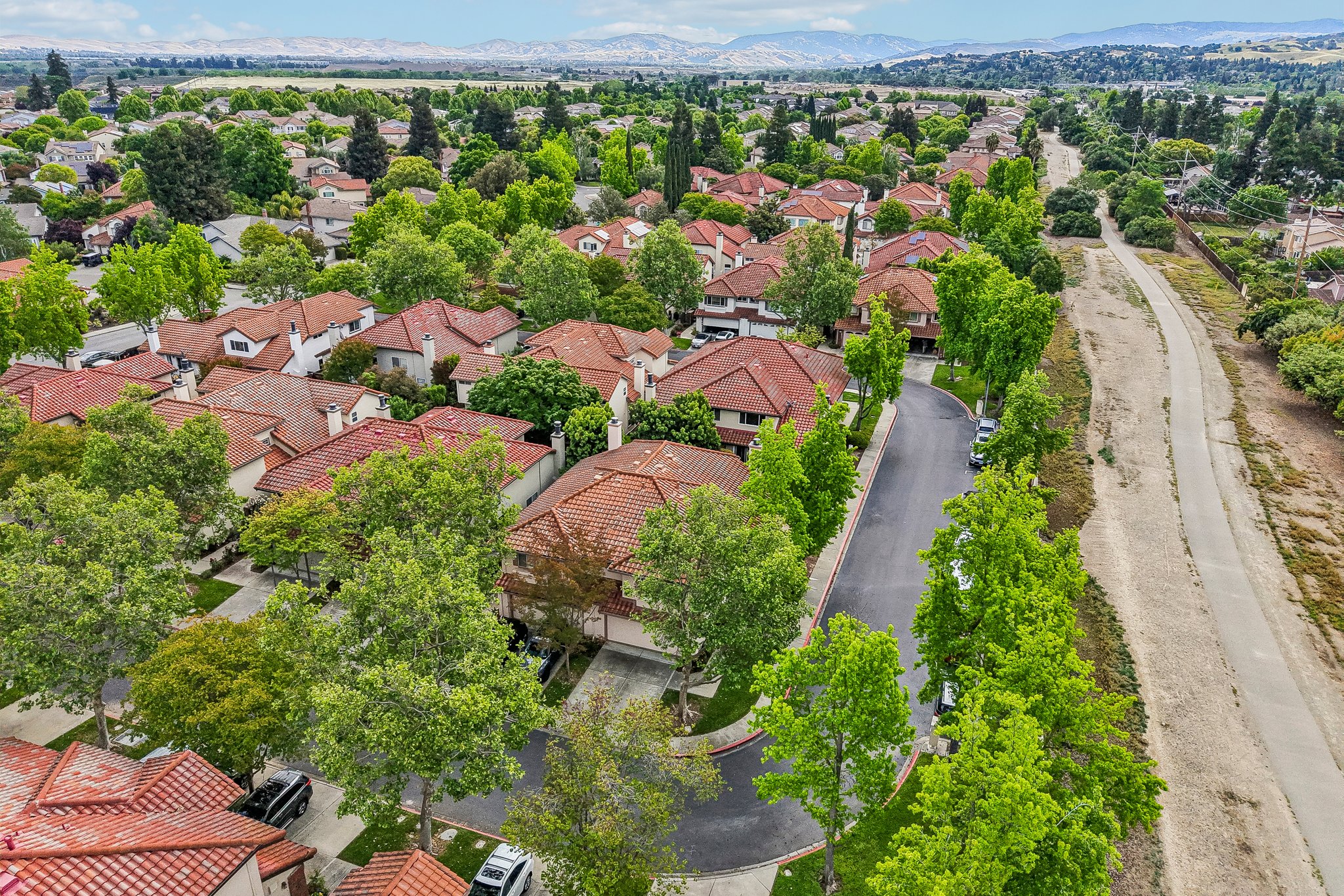 Holly Cir-S2104-047.jpg