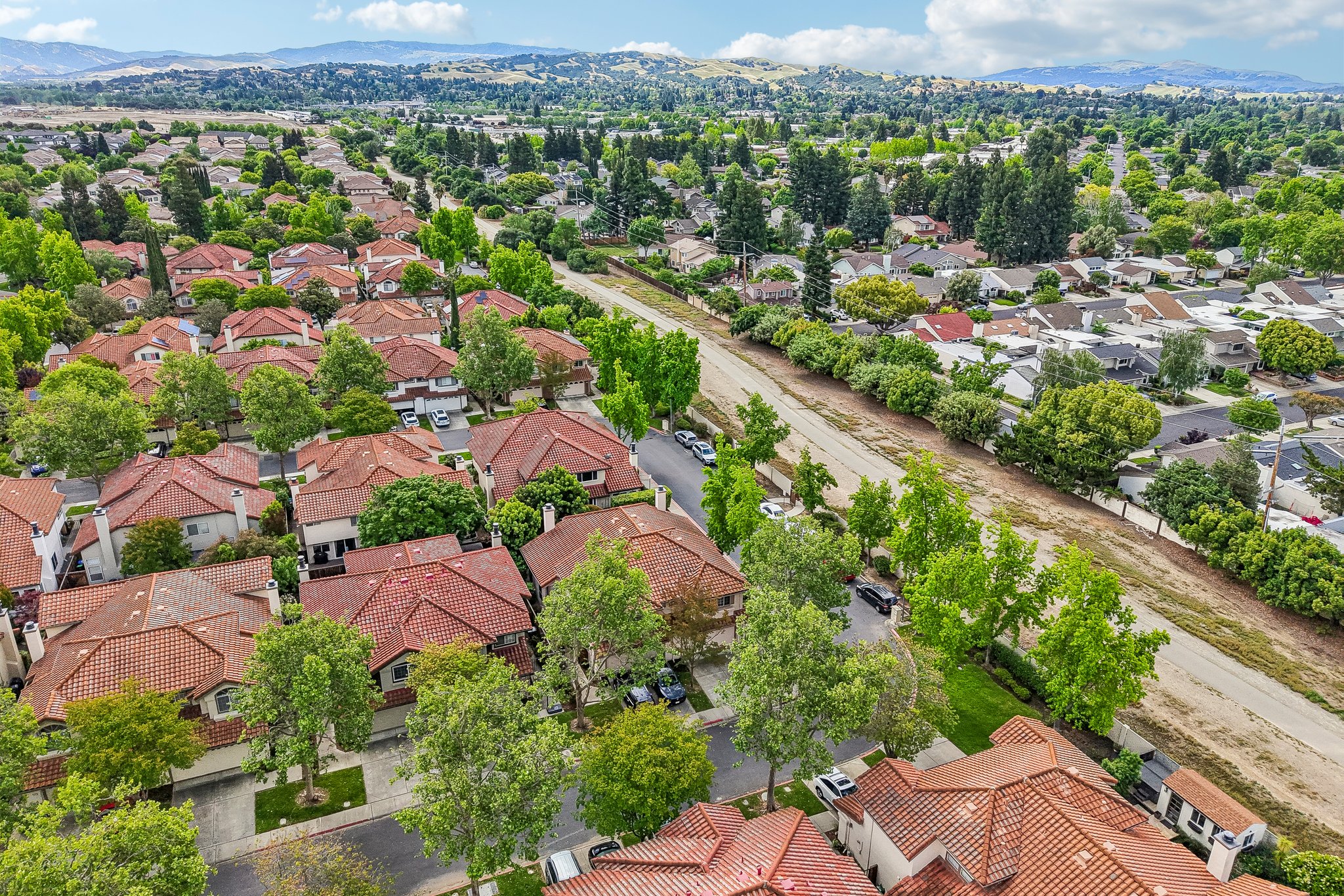 Holly Cir-S2104-049.jpg