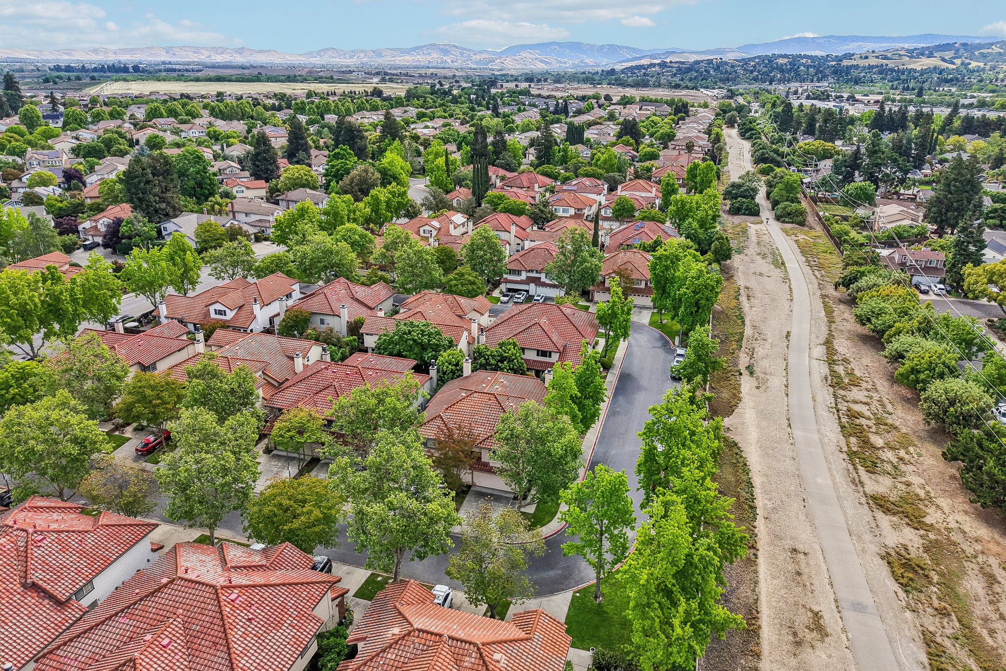 Holly Cir-S2104-050.jpg