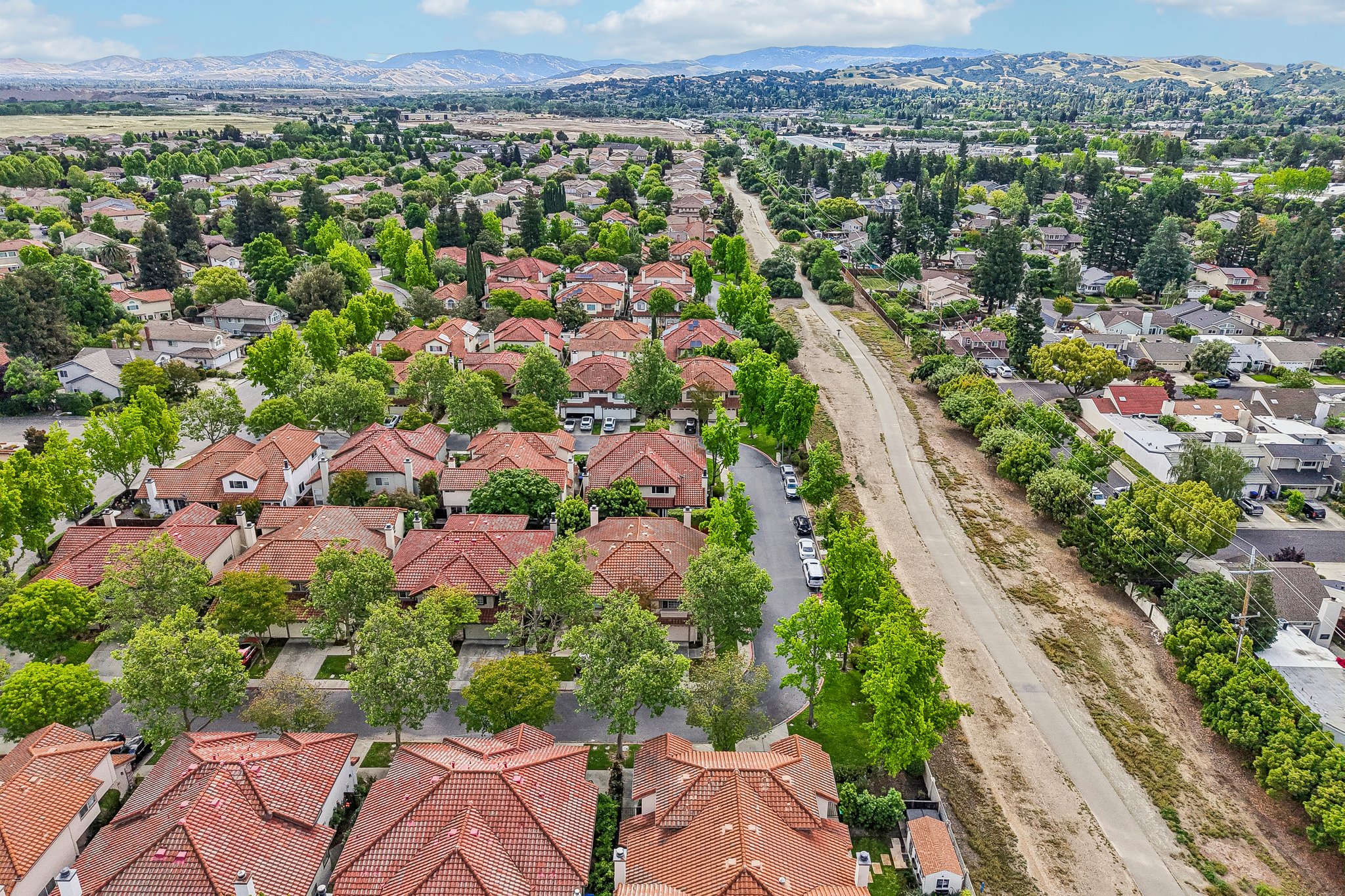 Holly Cir-S2104-051.jpg