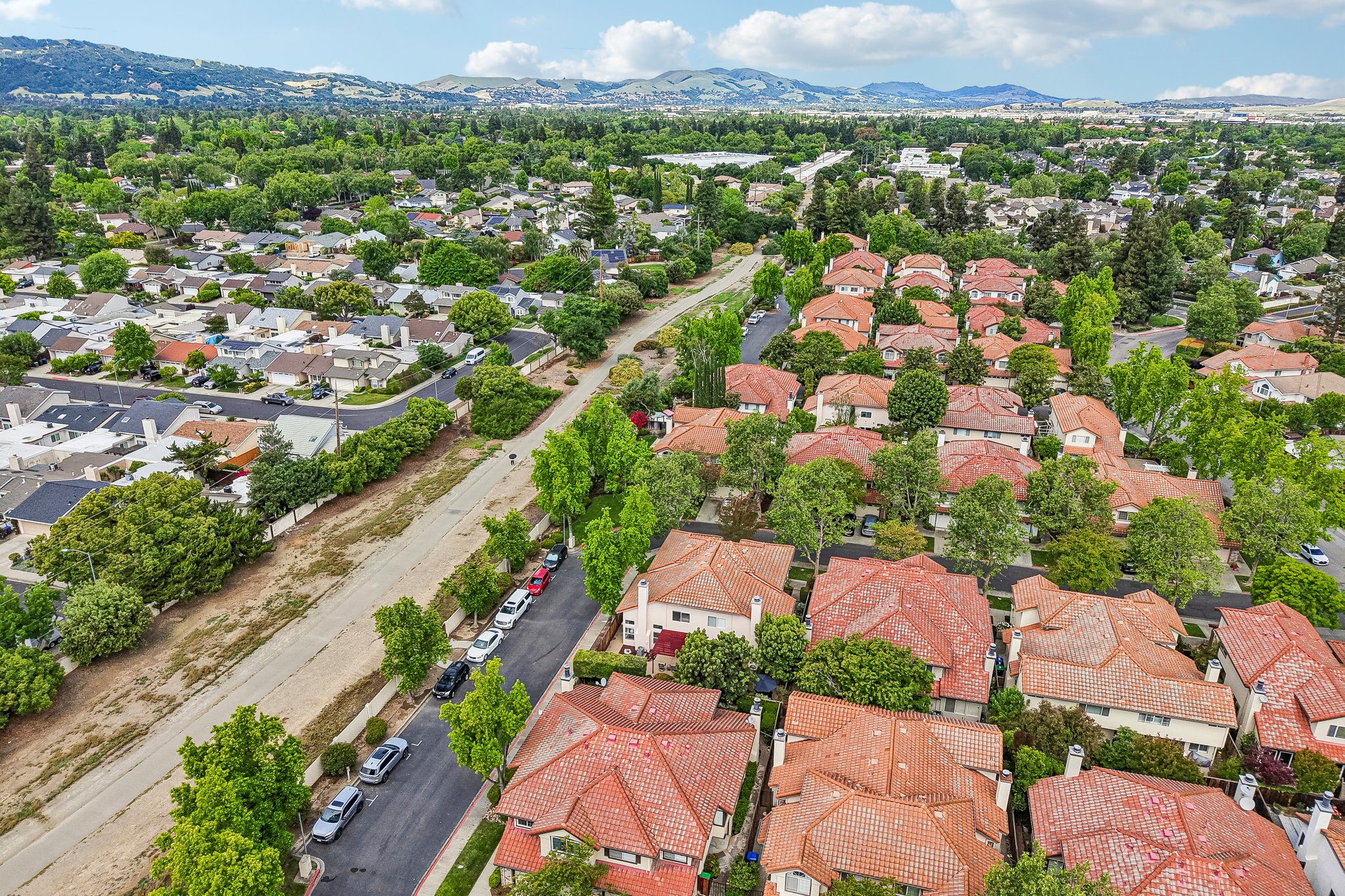 Holly Cir-S2104-052.jpg