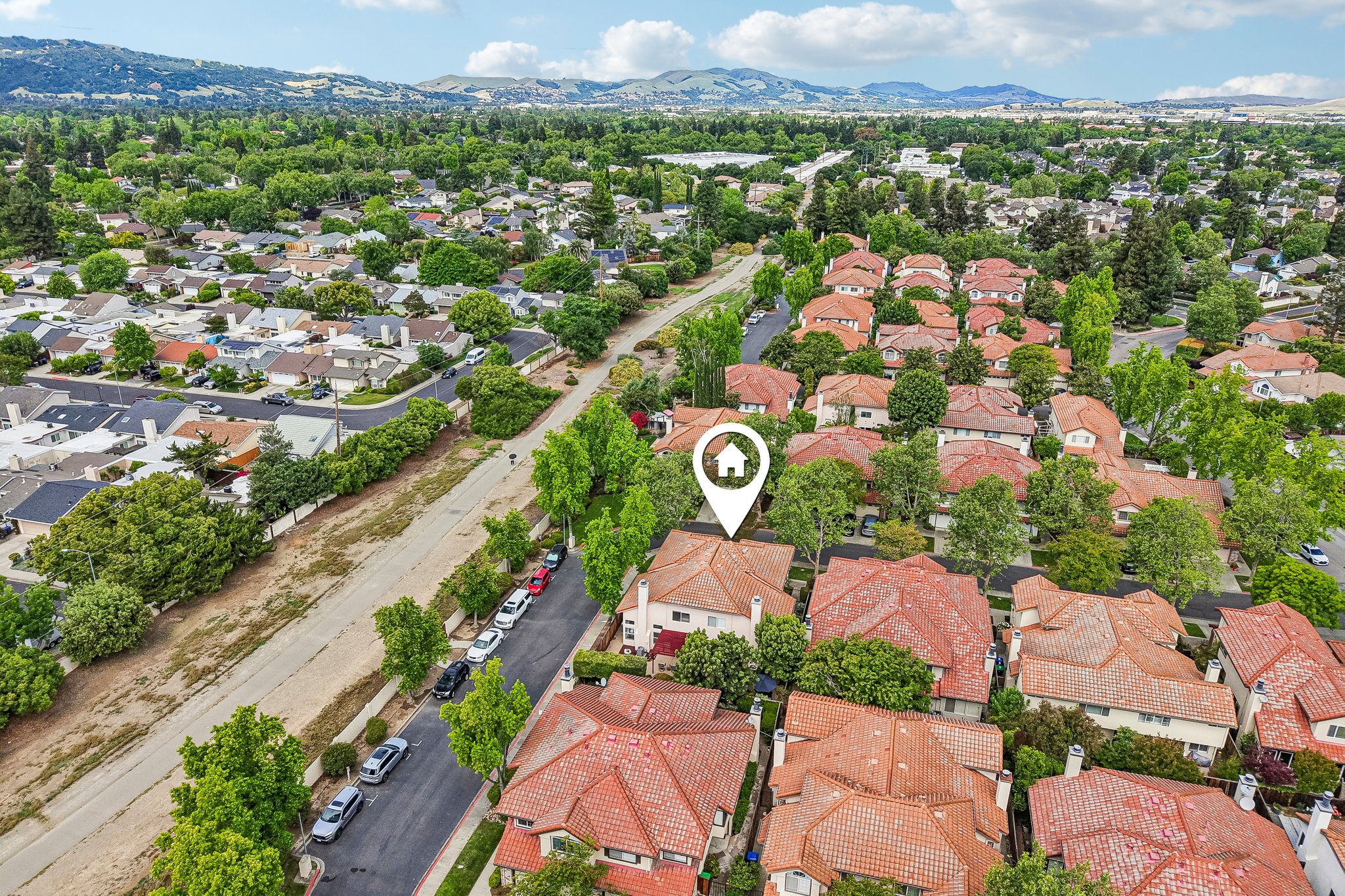 Holly Cir-S2104-053.jpg