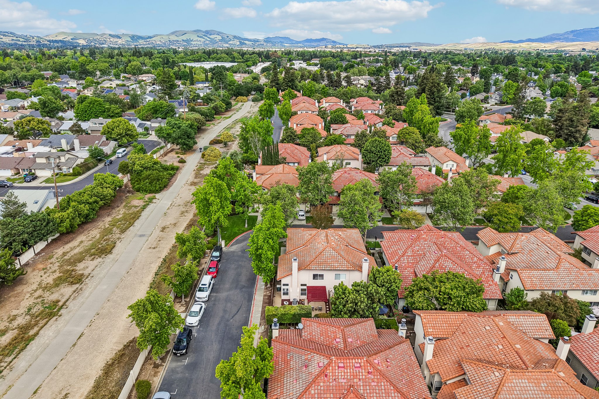 Holly Cir-S2104-055.jpg