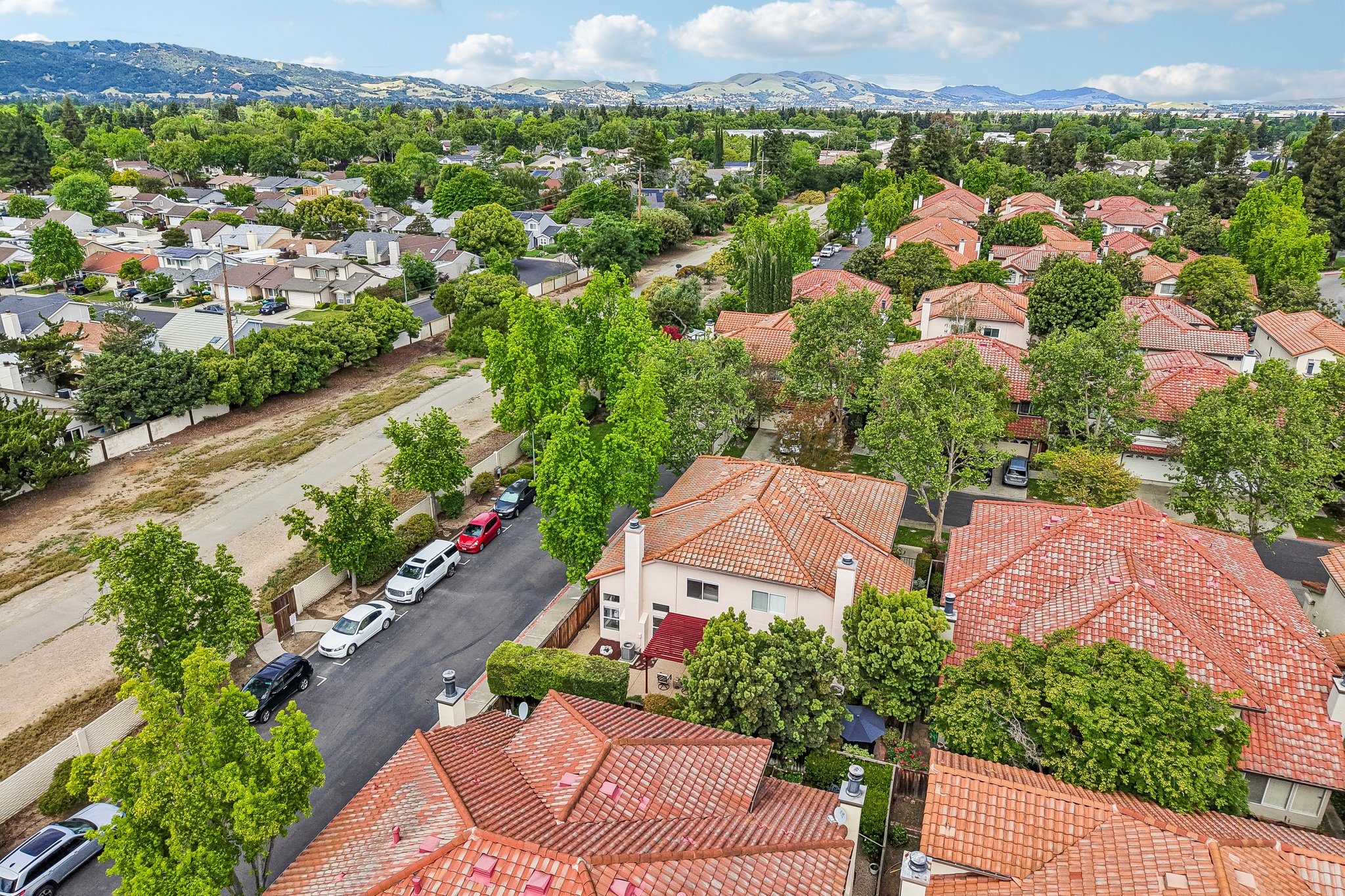 Holly Cir-S2104-056.jpg