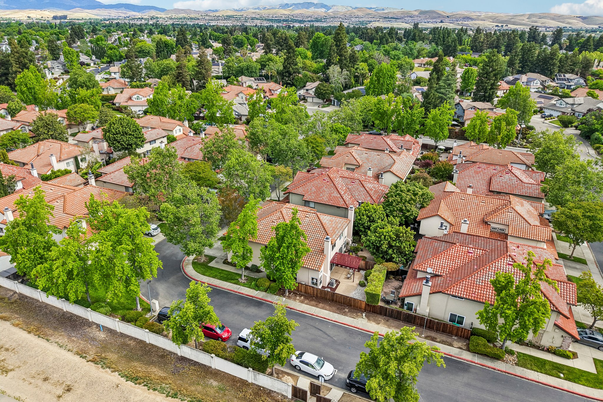 Holly Cir-S2104-060.jpg