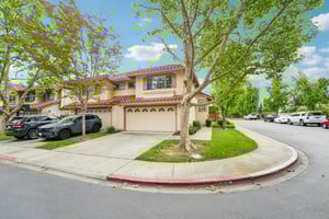 Holly Cir-S2104-005.jpg