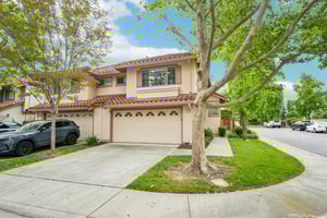 Holly Cir-S2104-006.jpg