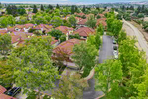 Holly Cir-S2104-048.jpg