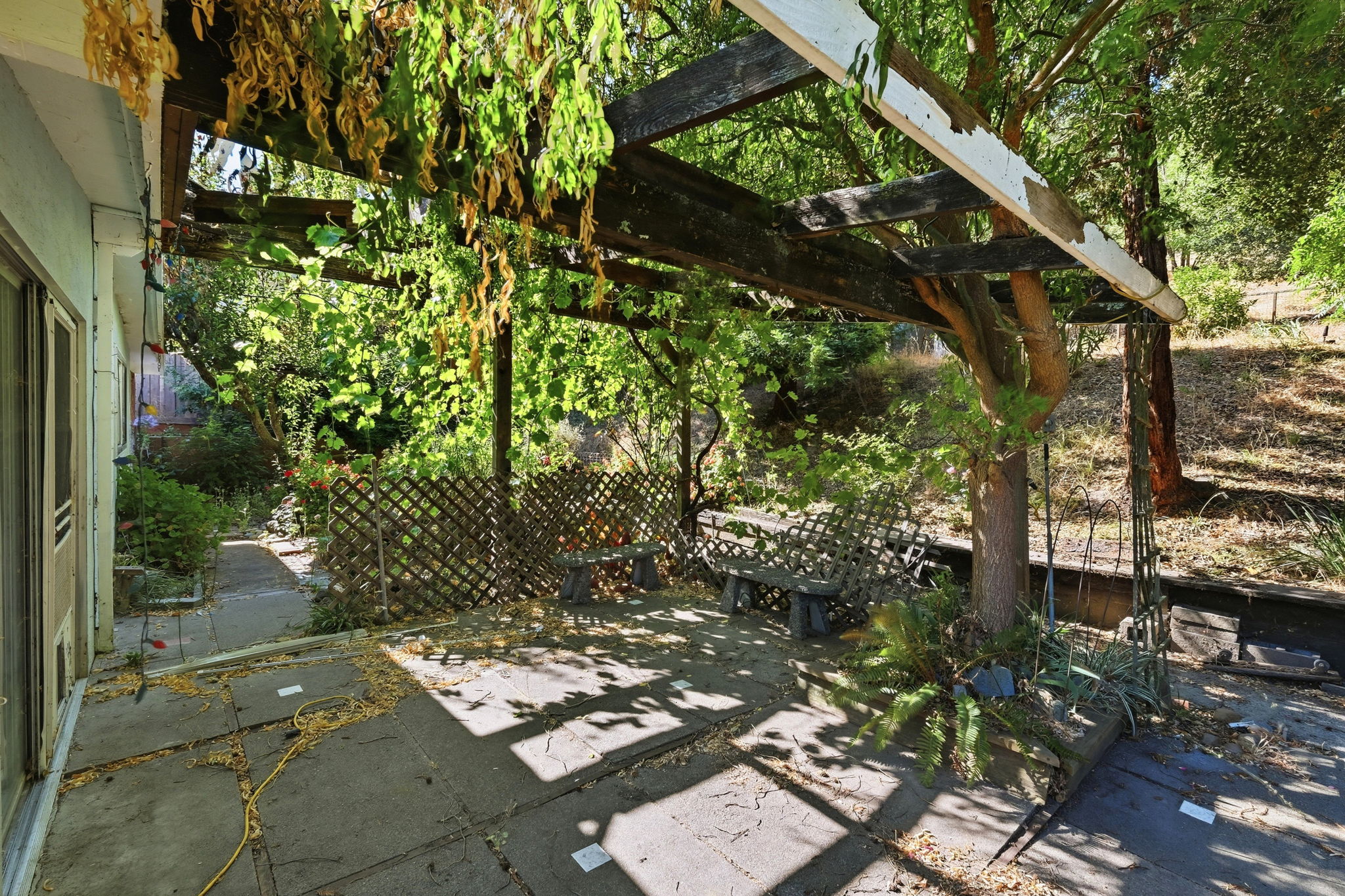 031_F8_1657 Springbrook