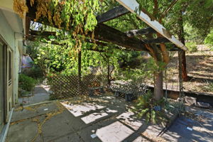 031_F8_1657 Springbrook