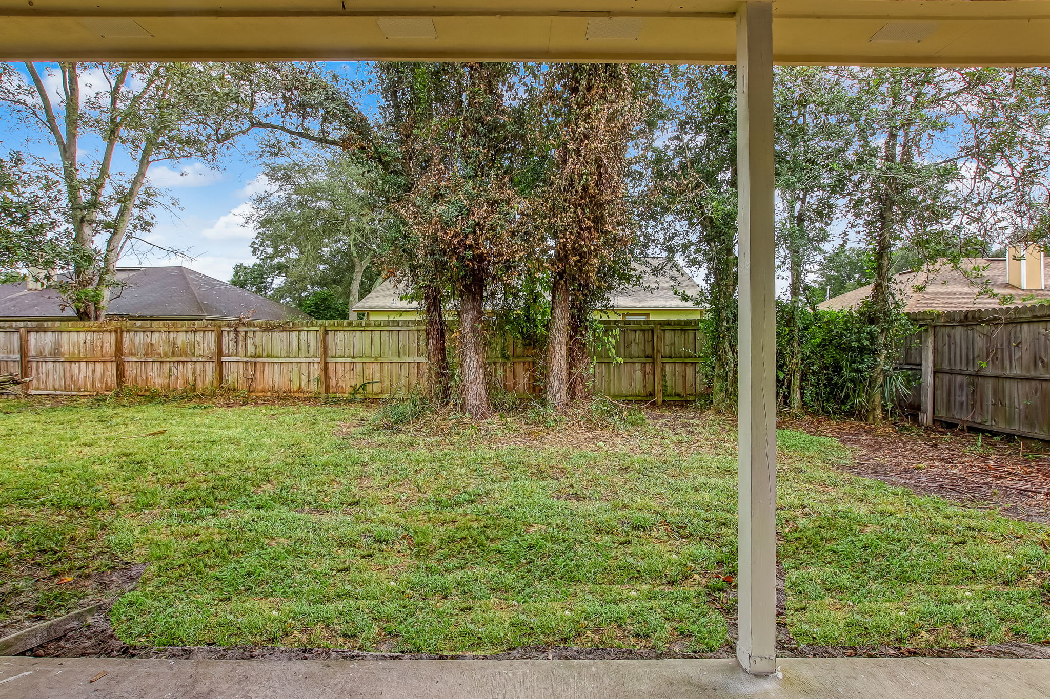 Back Yard