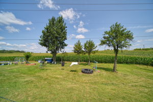  Photo 48