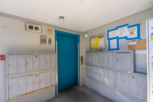  Photo 31