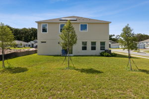 Back of Home