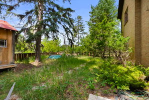  Photo 44