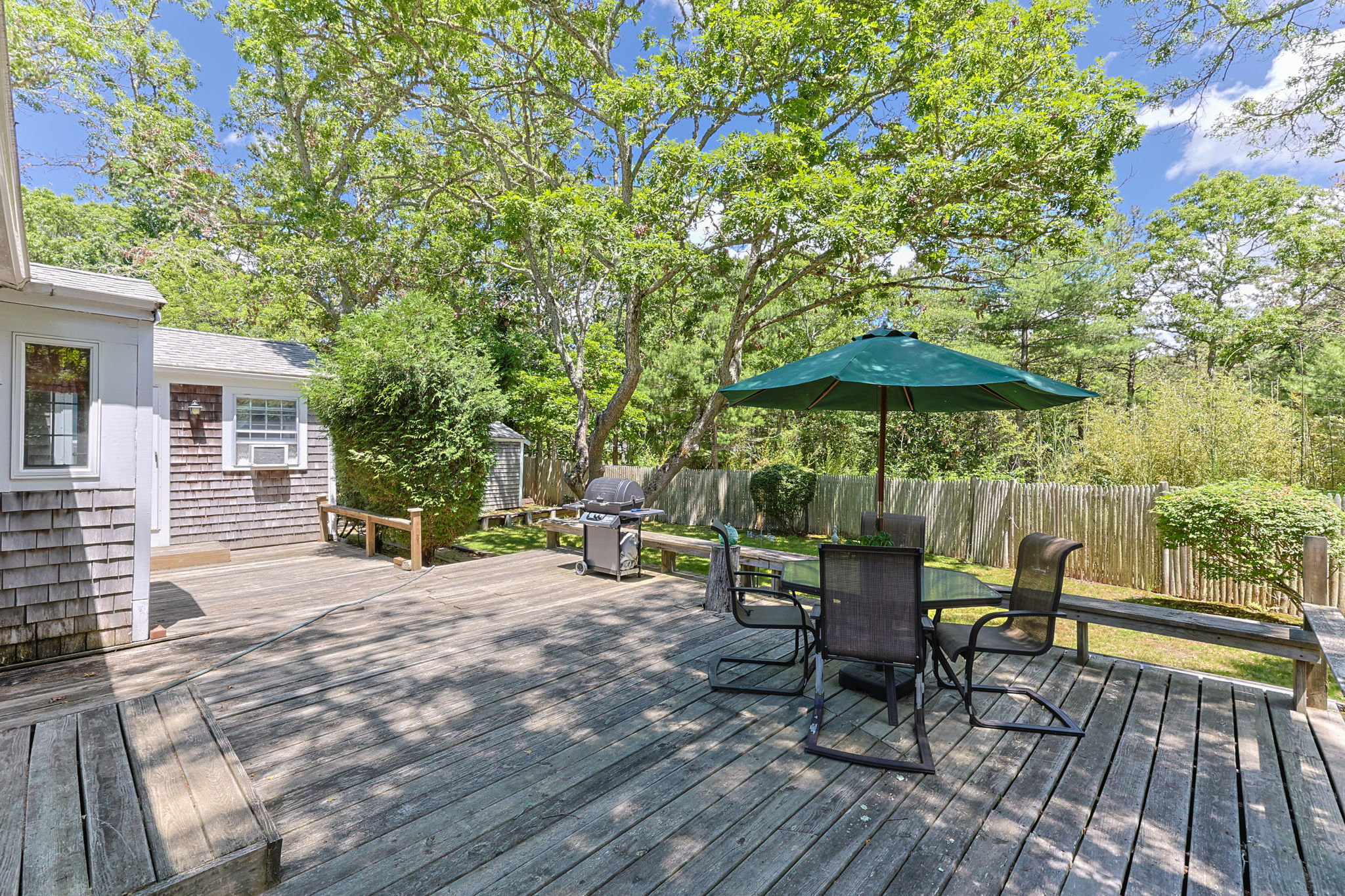  Photo 39