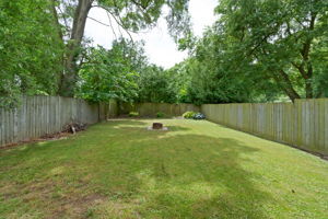  Photo 39