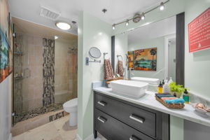 Guest Bathroom1a