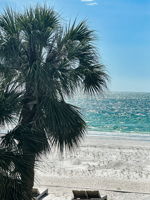 Balcony View3