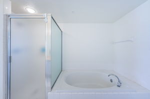 Primary Bathroom 1b