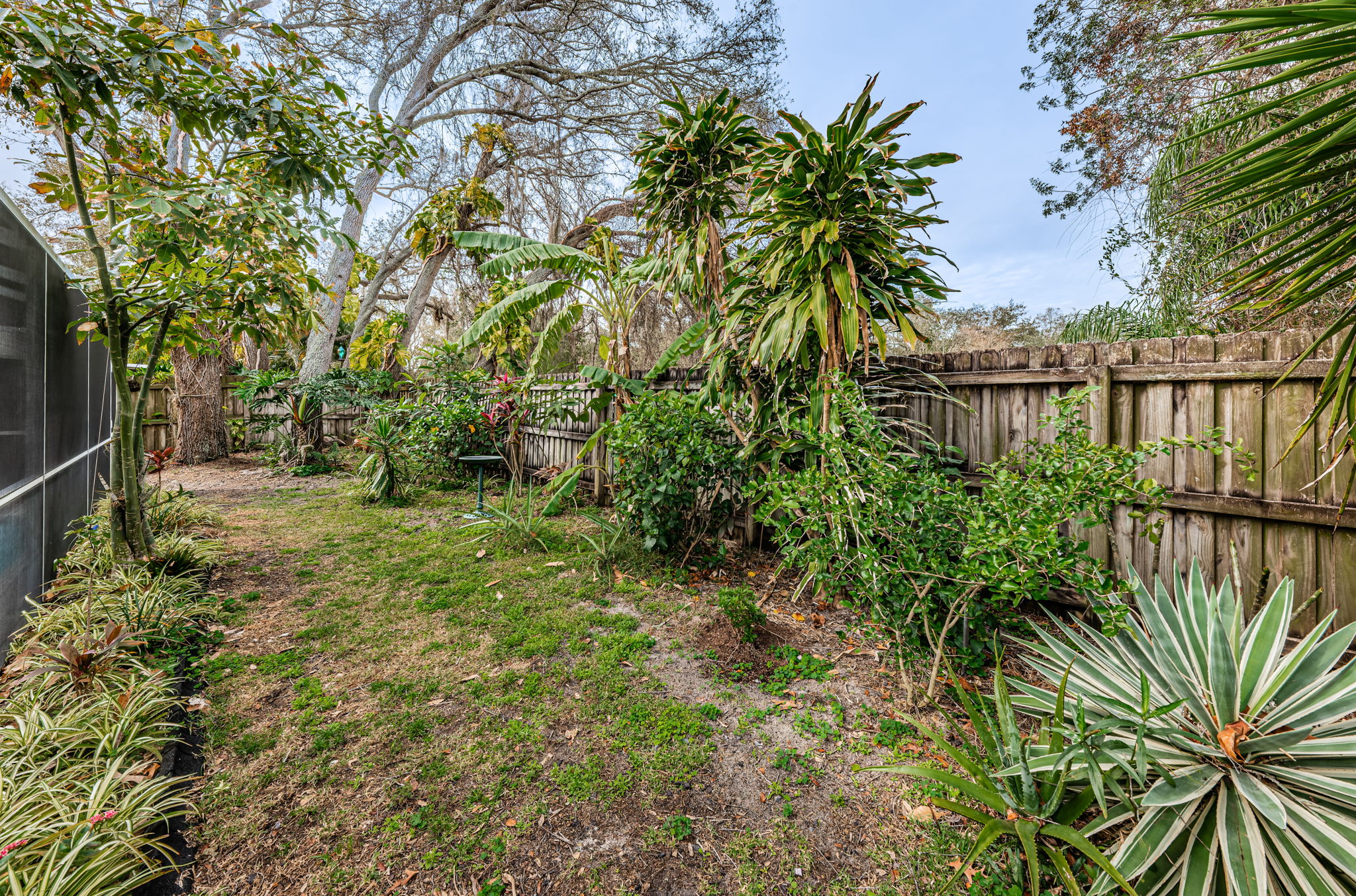 Backyard1-2