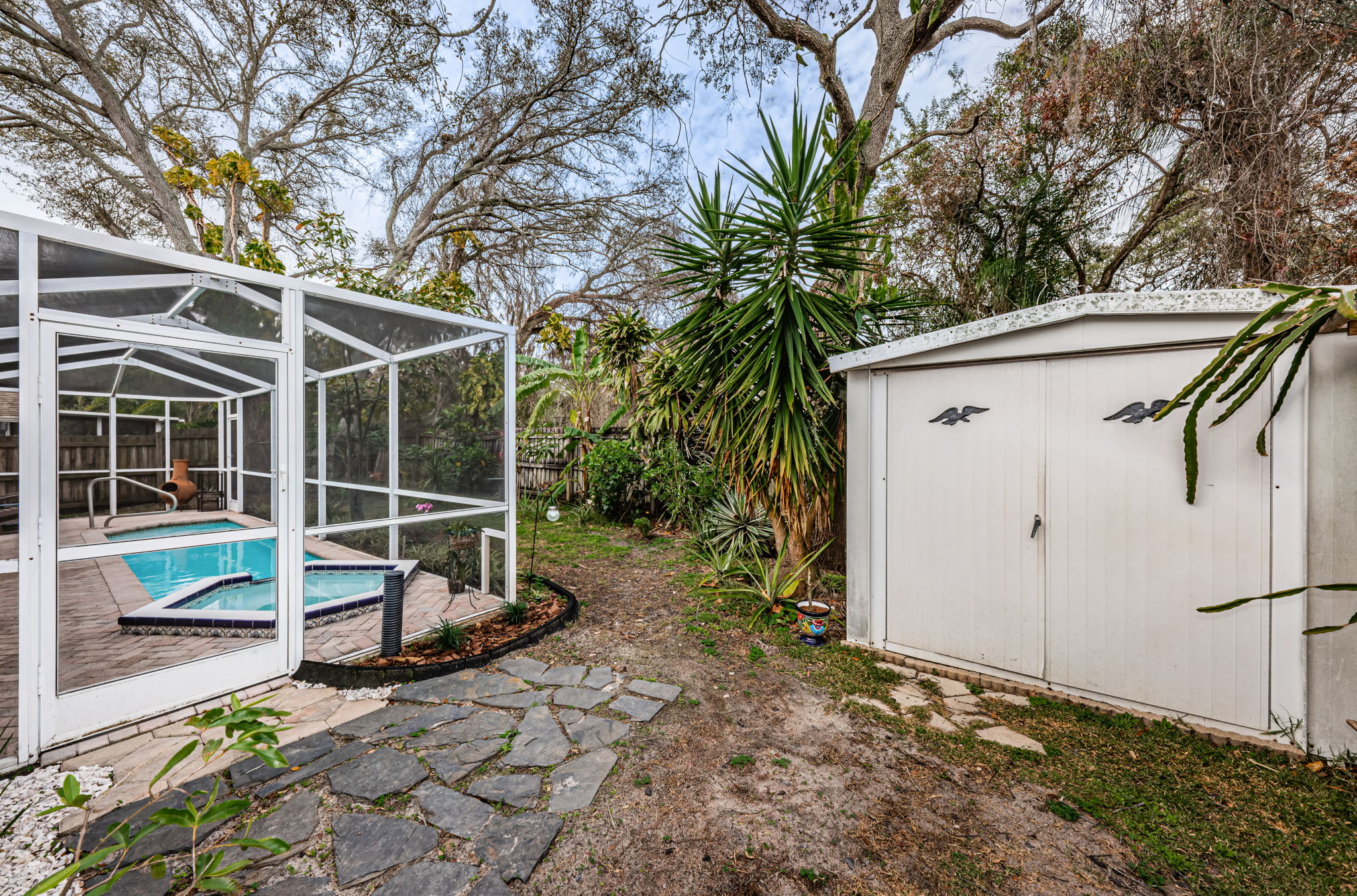 Backyard5