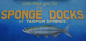 Sponge Docks17