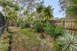 Backyard1-2