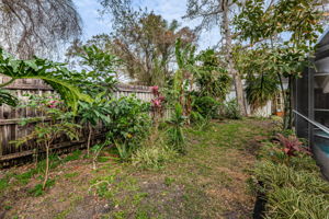 Backyard4-2