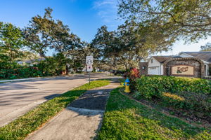 Rolling Oaks1