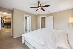 12_Interior