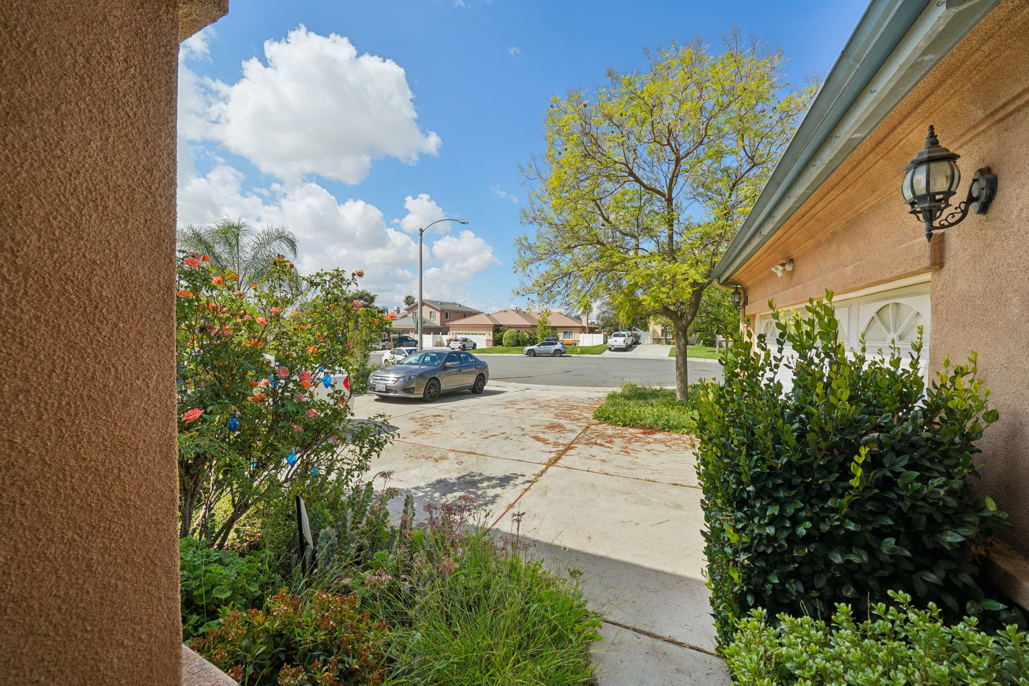 Shuning Ct-S0204-002.jpg