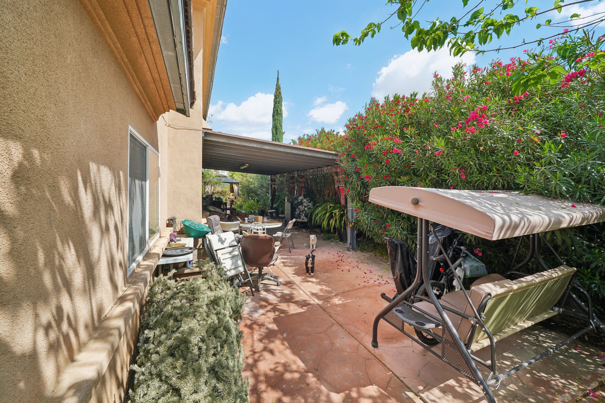 Shuning Ct-S0204-028.jpg