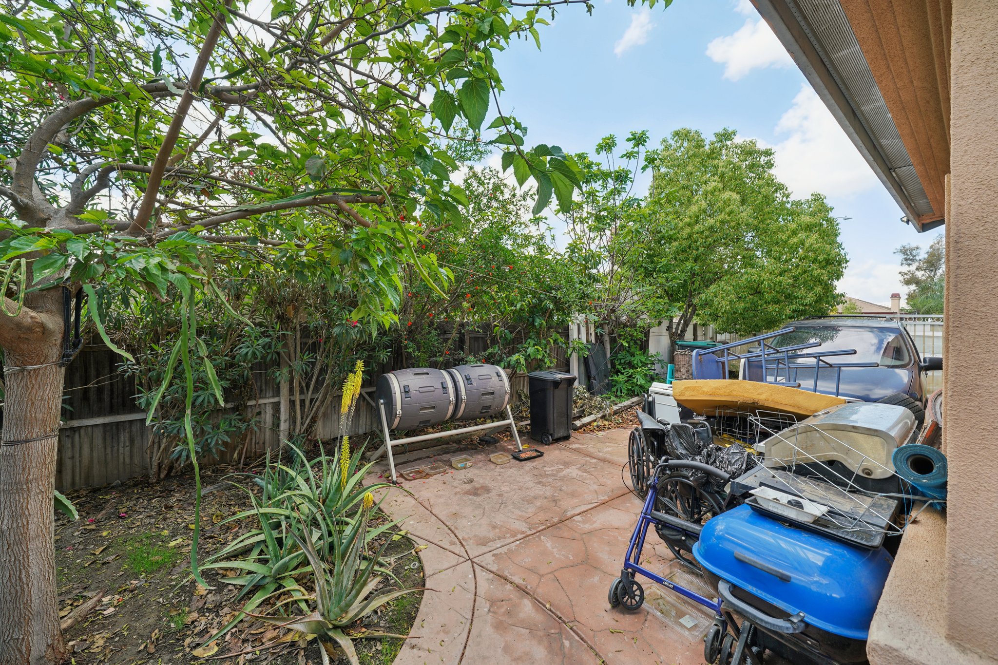 Shuning Ct-S0204-030.jpg