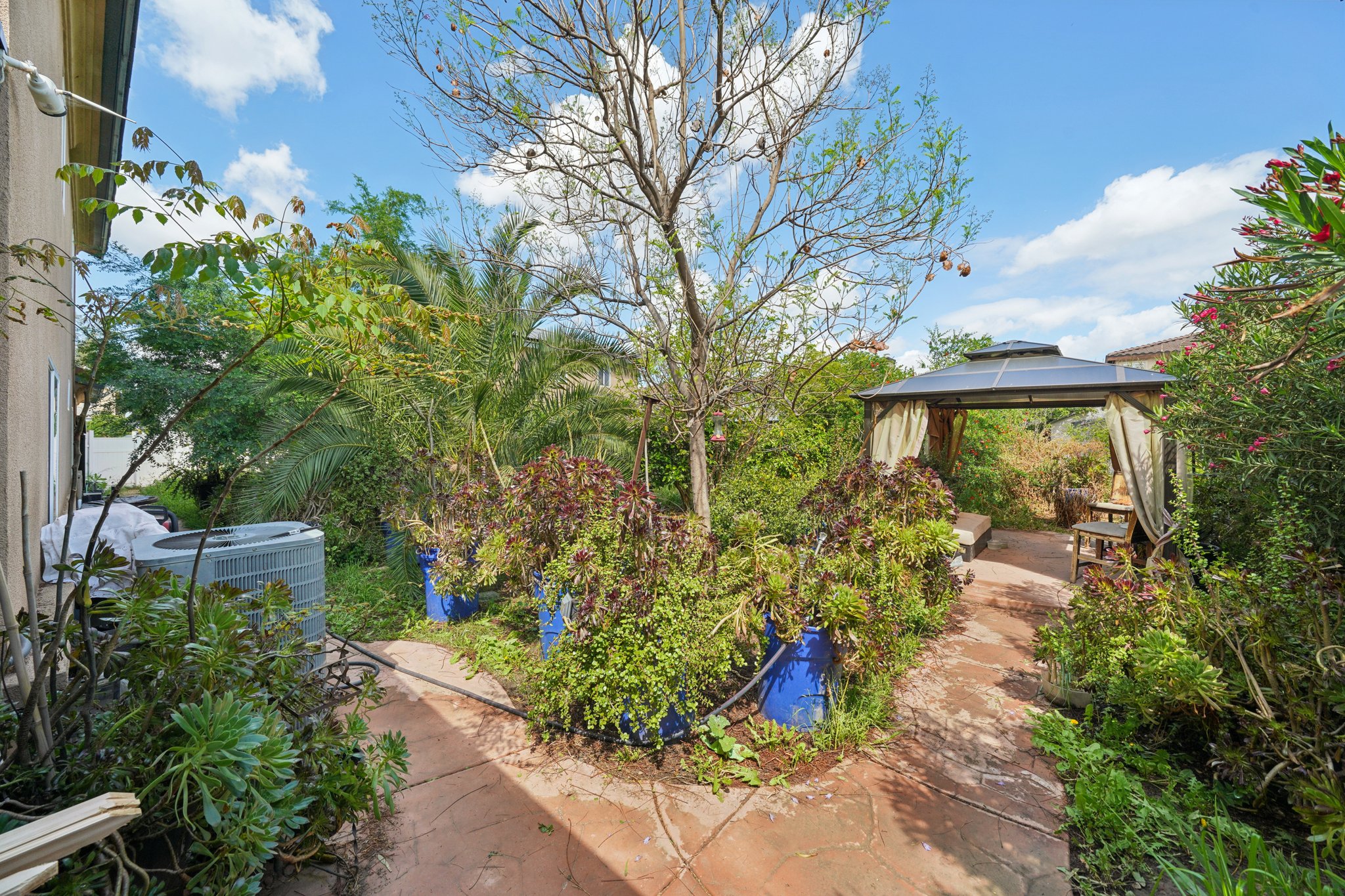 Shuning Ct-S0204-032.jpg