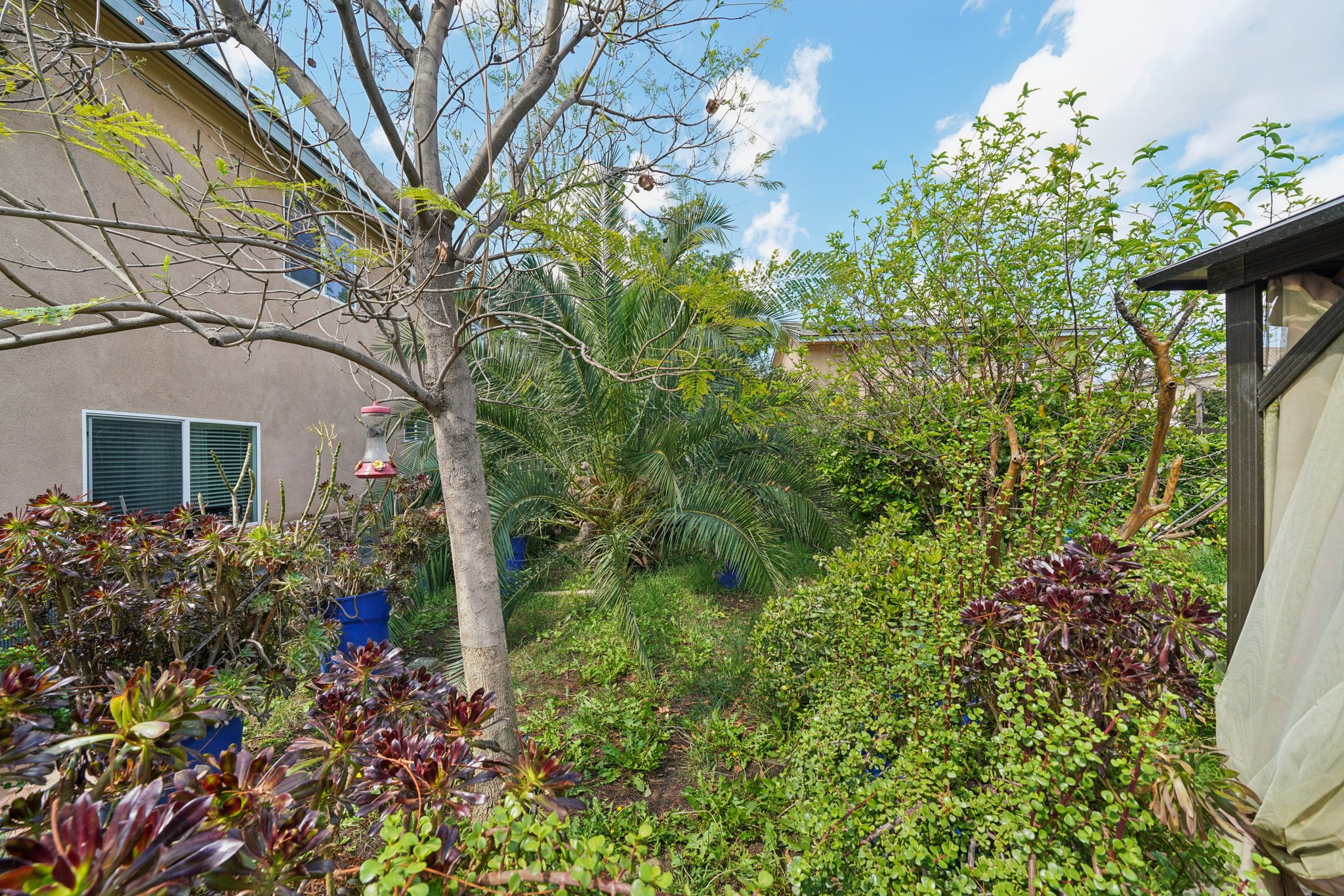 Shuning Ct-S0204-033.jpg