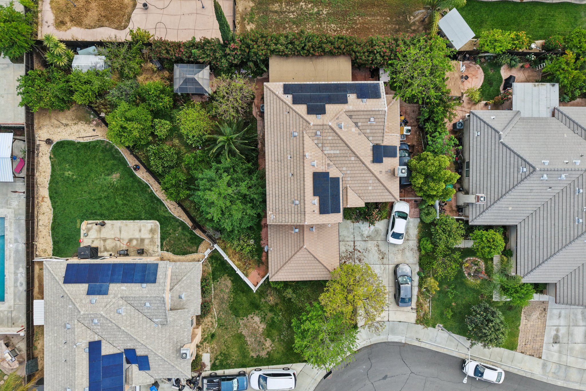 Shuning Ct-S0204-041.jpg