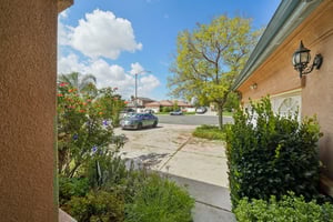 Shuning Ct-S0204-002.jpg